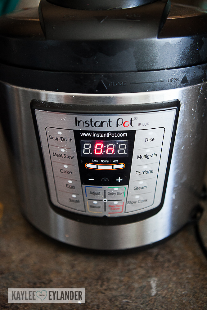 Instant Pot Pressure Cooker Review + Recipes